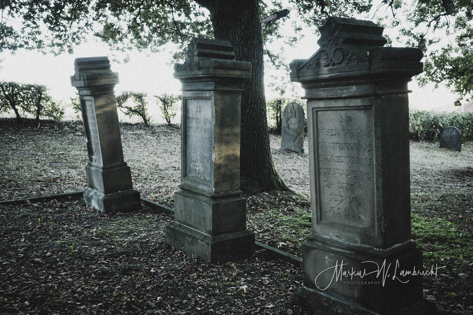 Vörden (Marienmünster), Jüdischer Friedhof